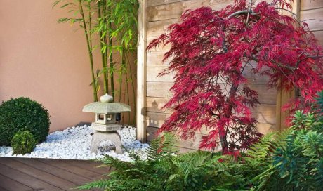 Création d’un jardin zen japonais miniature en extérieur